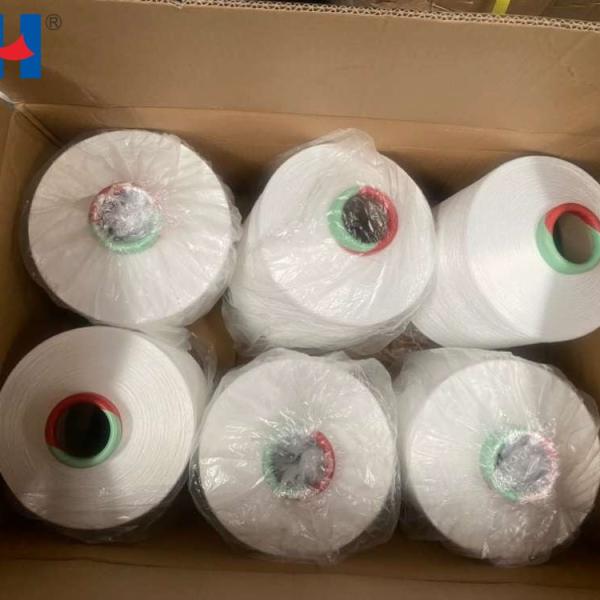 100D/12V DTI