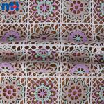 Tissu dentelle arc-en-ciel