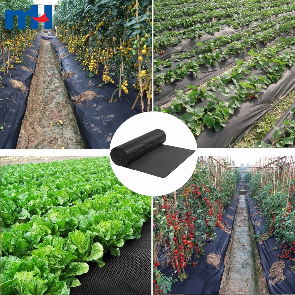 Géotextiles non tissés pour l'agriculture : couvre-sol et protection des plantes et des fruits