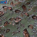 Broderie de paillettes et de dentelle